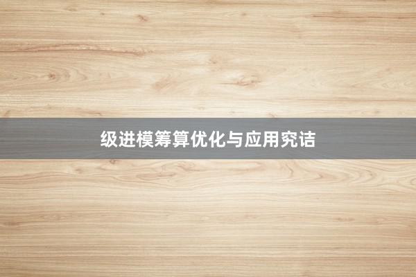 级进模筹算优化与应用究诘