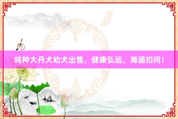 纯种大丹犬幼犬出售，健康弘远，海涵扣问！