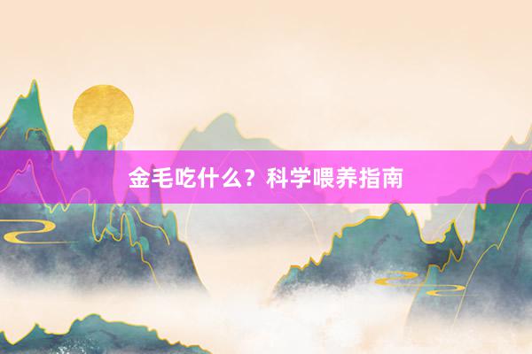 金毛吃什么？科学喂养指南